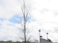IMG 7003