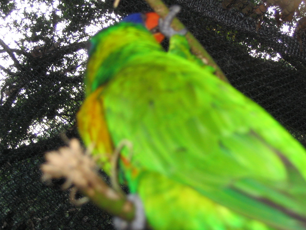 IMG_2299.jpg