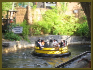 IMG_2273.JPG