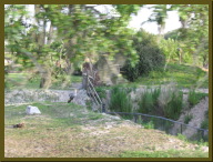 IMG_2277.JPG