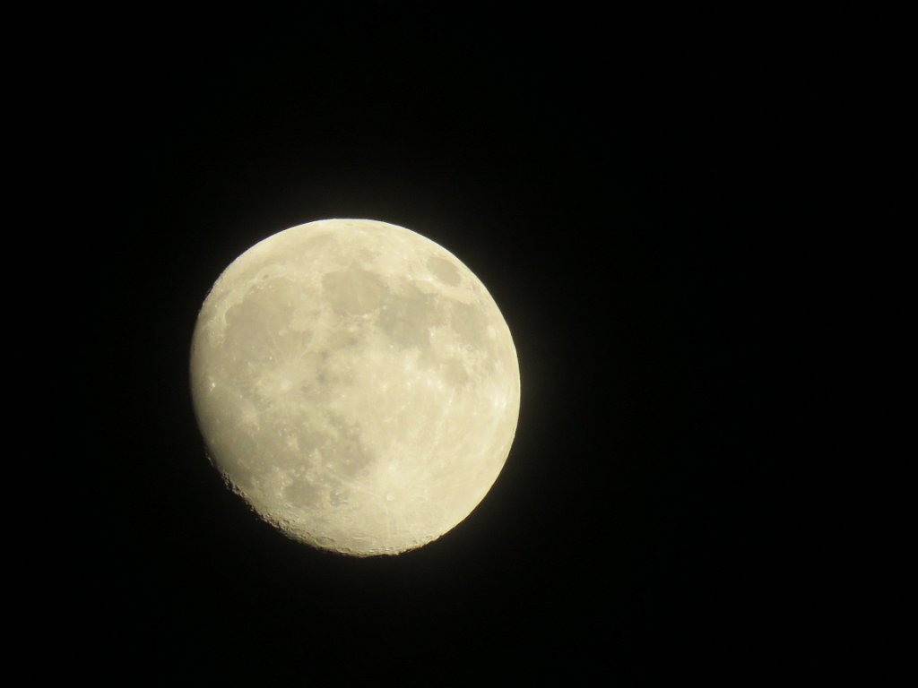 IMG_6647