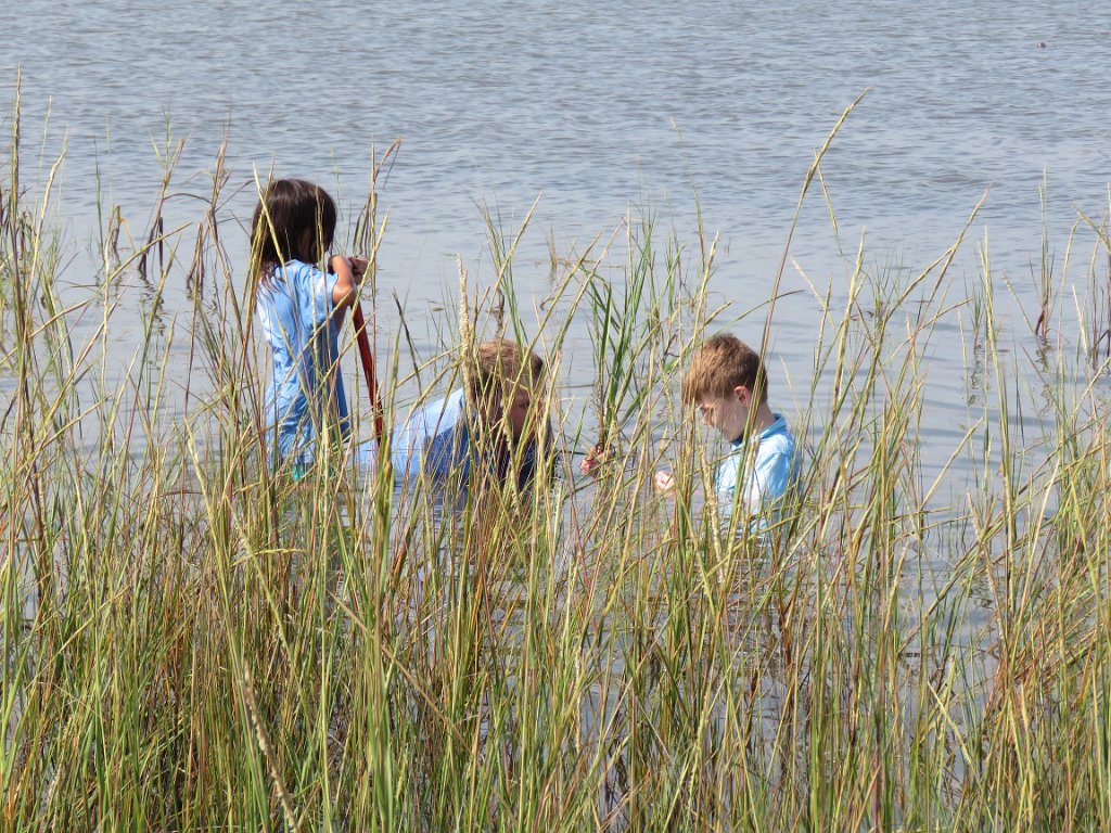 IMG_6853