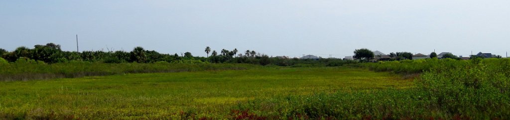 IMG_6917