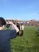 AUT_4505.JPG