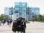 AUT_4513.JPG