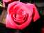AUT_4717.JPG