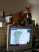 AUT_4722.JPG