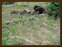 DSC00273.JPG