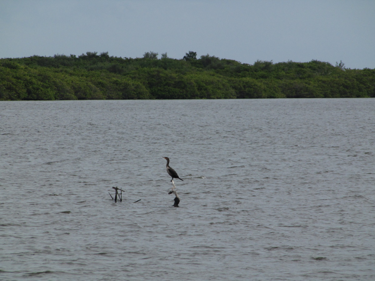 IMG_4532.JPG