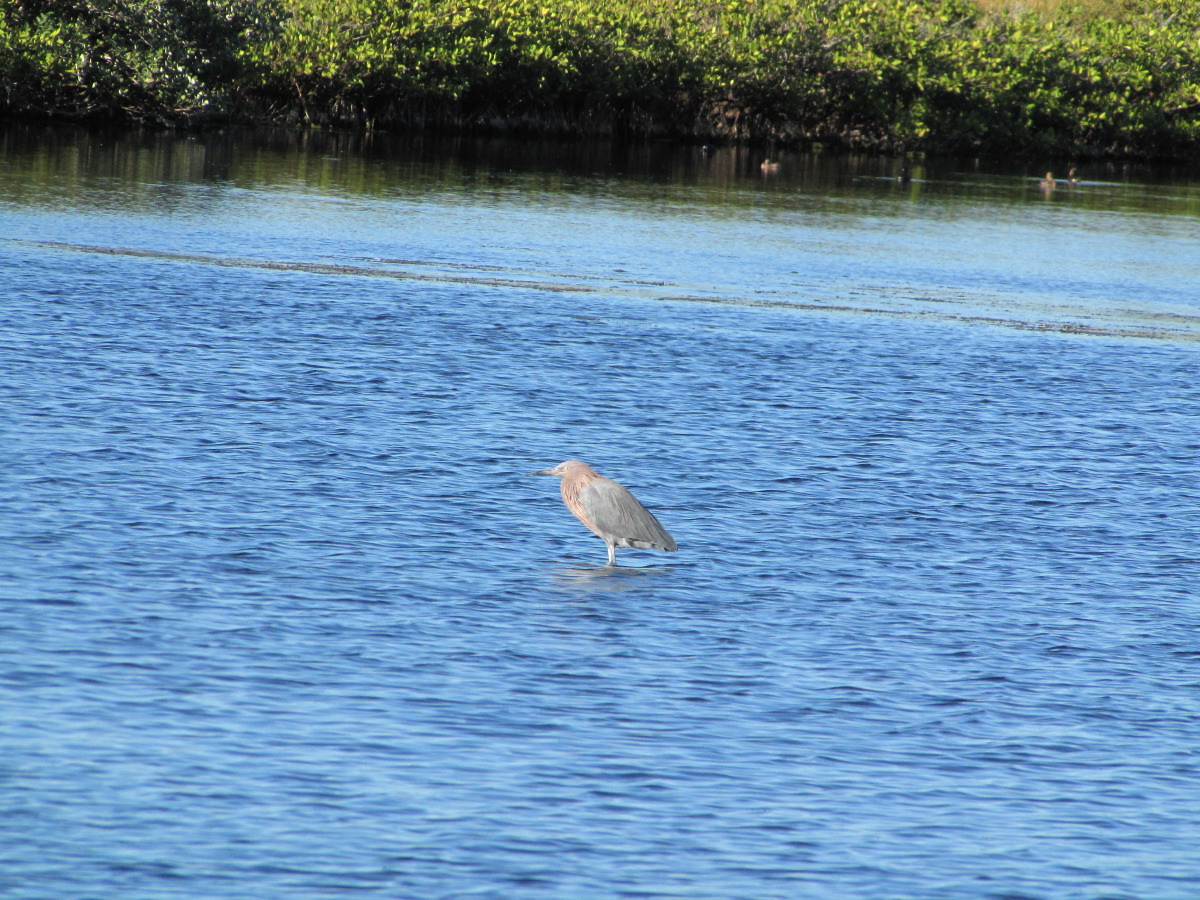 IMG_7377.JPG