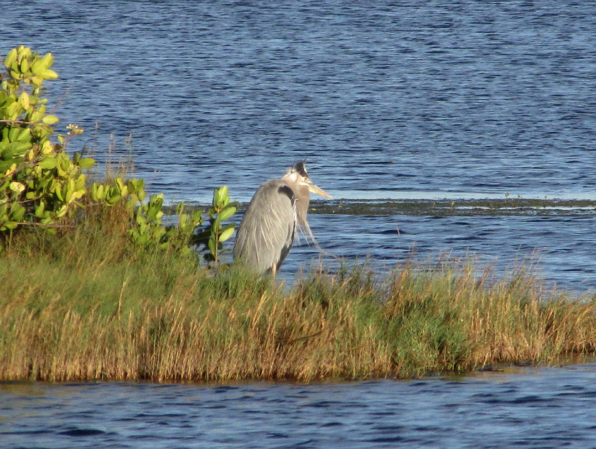 IMG_7449.JPG