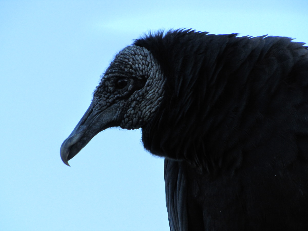 IMG_7456.JPG