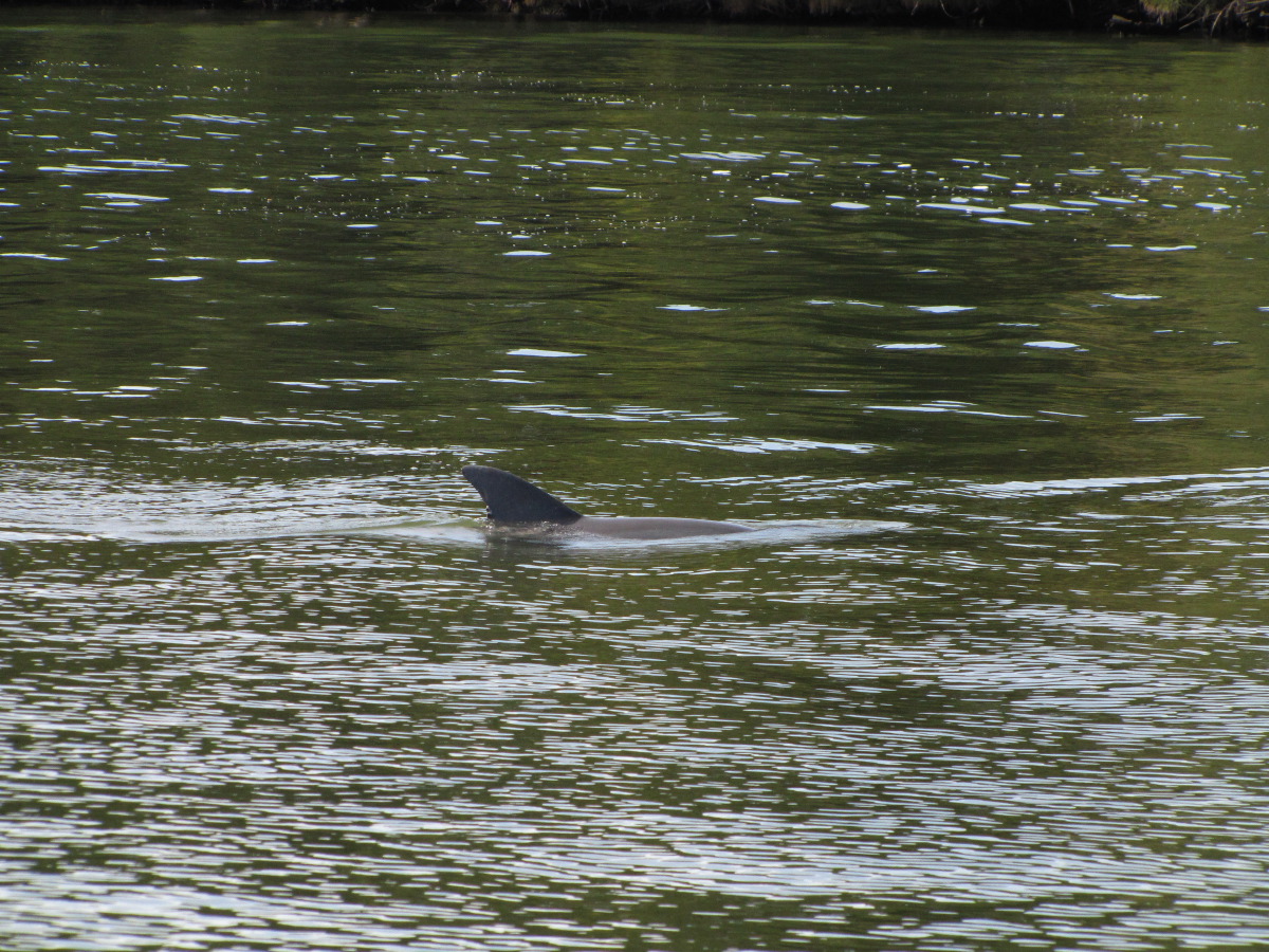 IMG_7556.JPG