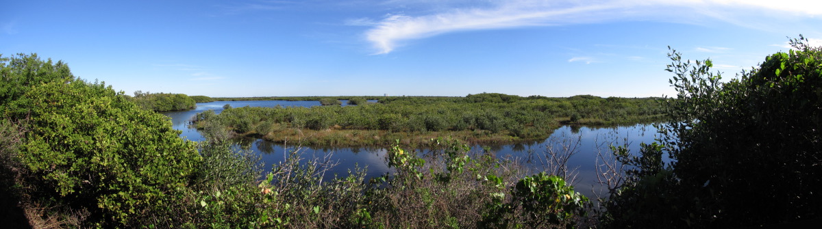 MINWR-InterCoastal2.jpg
