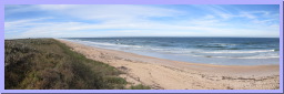 CNS-ApolloBeach2.jpg