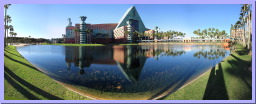 DisneyDolphin.jpg