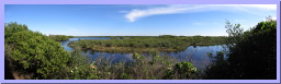 MINWR-InterCoastal2.jpg