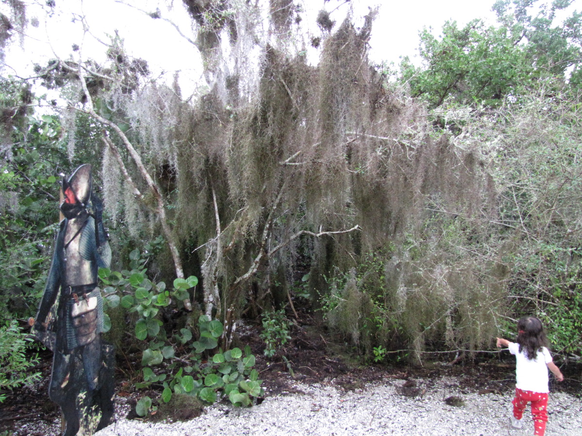 IMG_6976.JPG