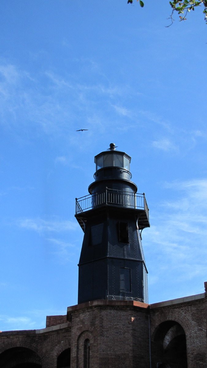 IMG_5878.jpg