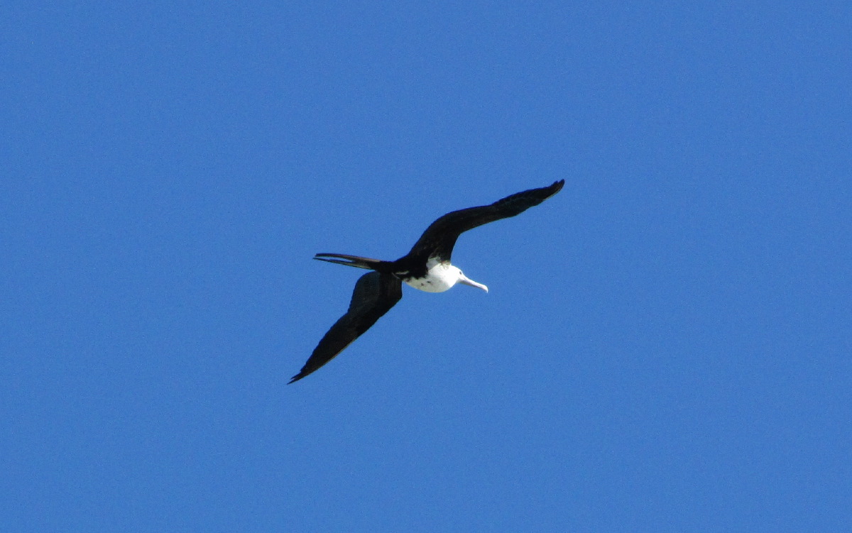 IMG_5884.JPG