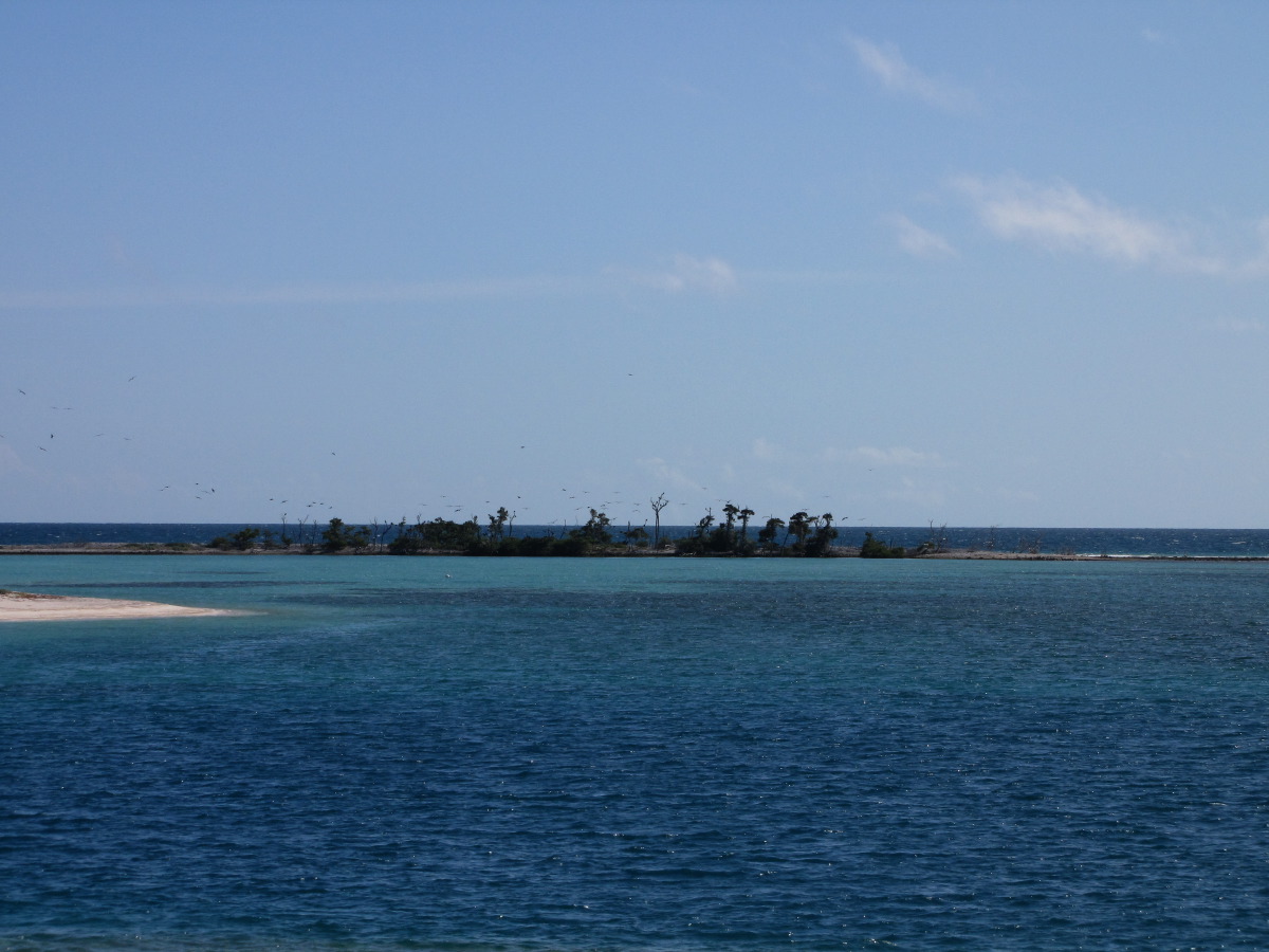 IMG_5893.JPG