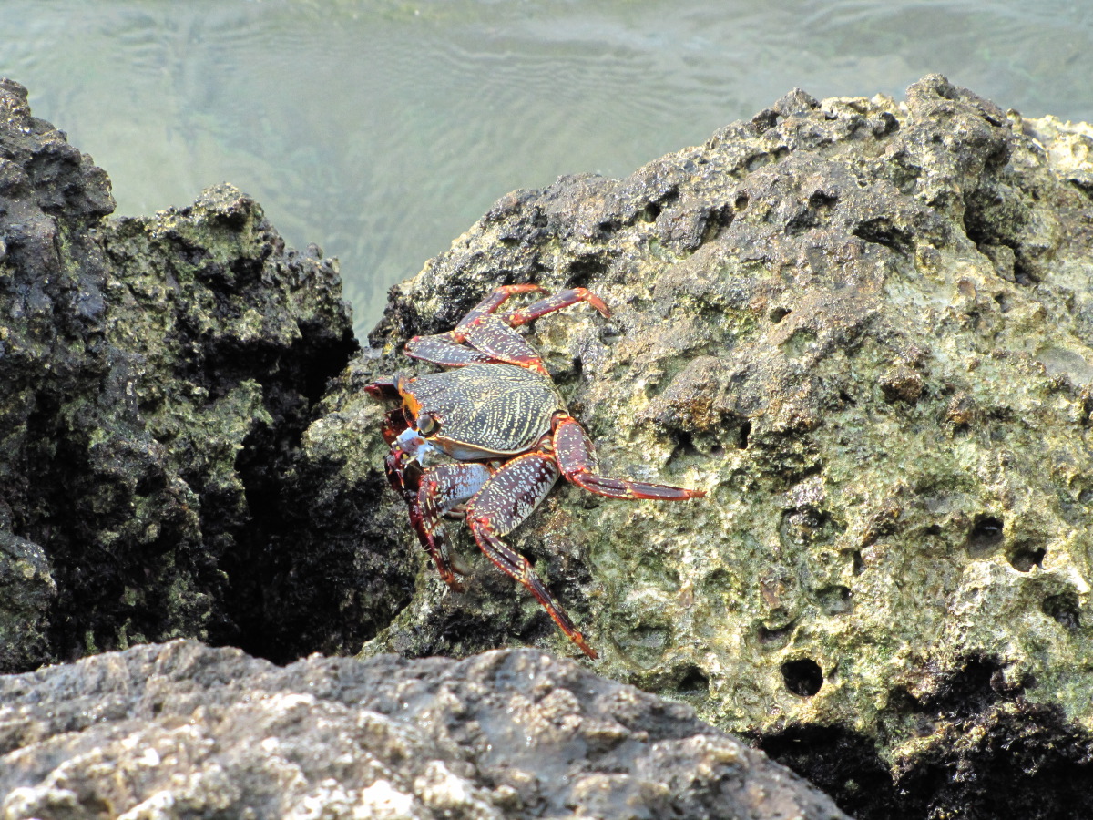 IMG_6201.JPG