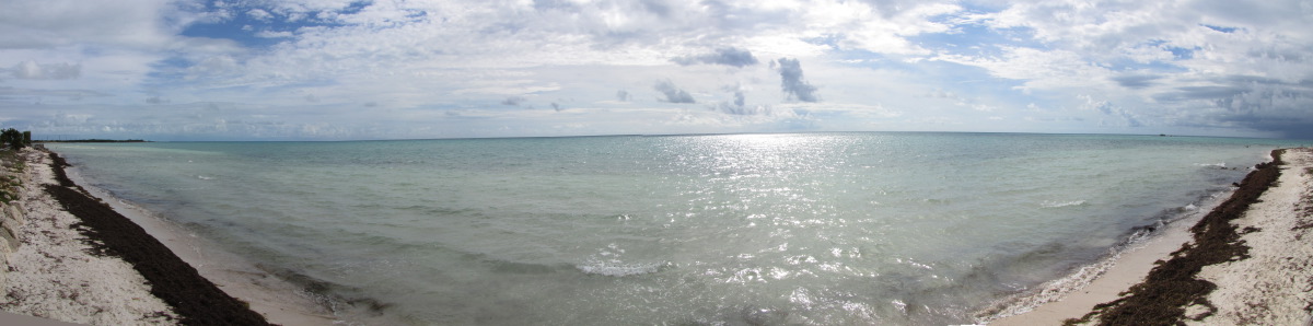 BHSP-LoggerheadBeach1.jpg