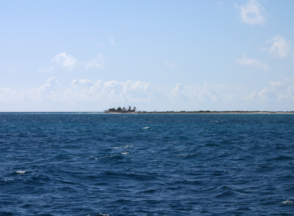 IMG_5839.JPG
