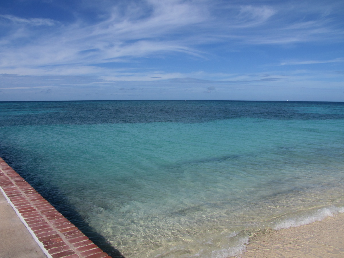 IMG_5982.JPG