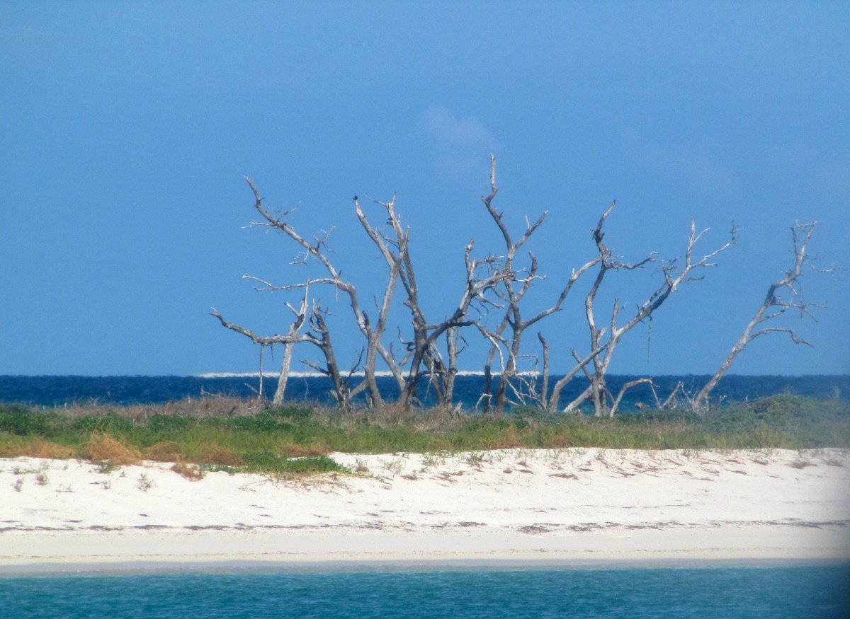 IMG_6075.JPG