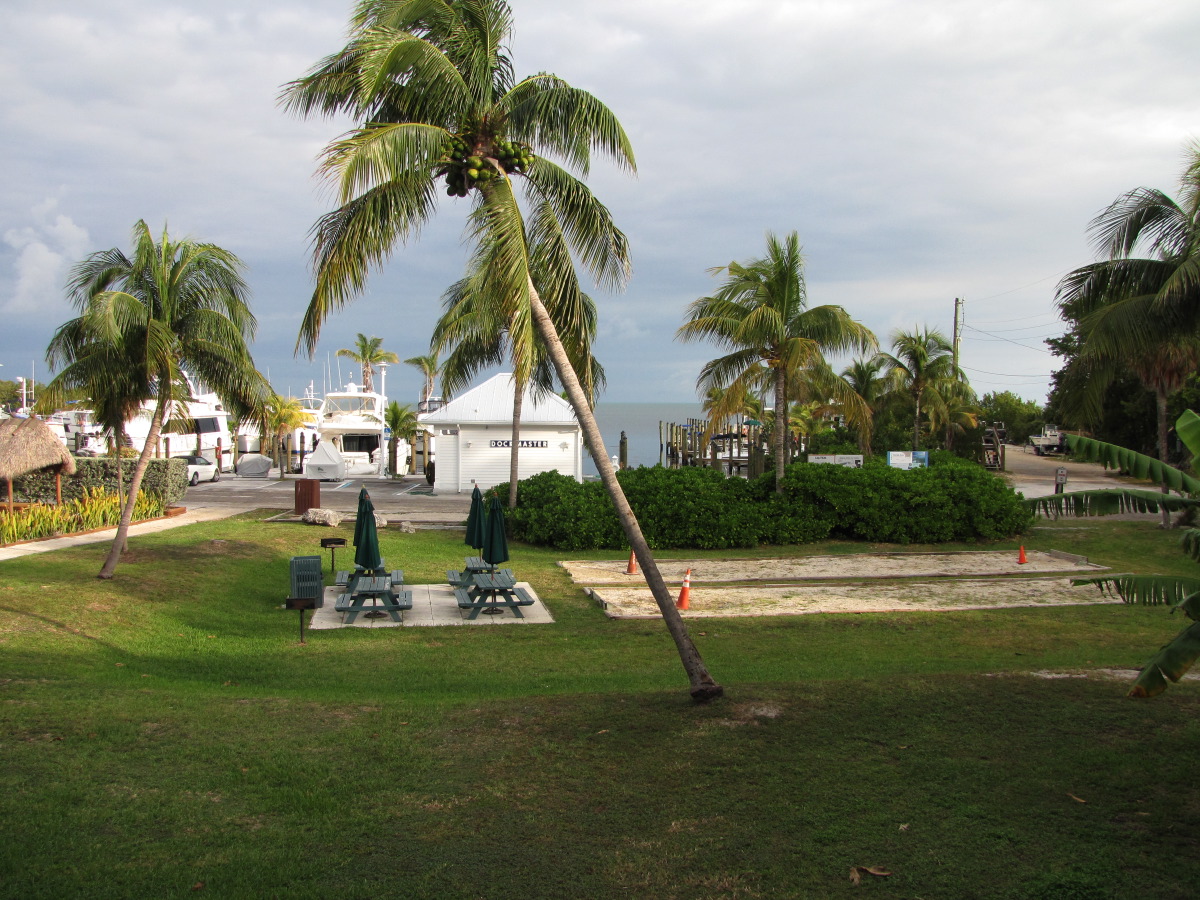 IMG_6186.JPG