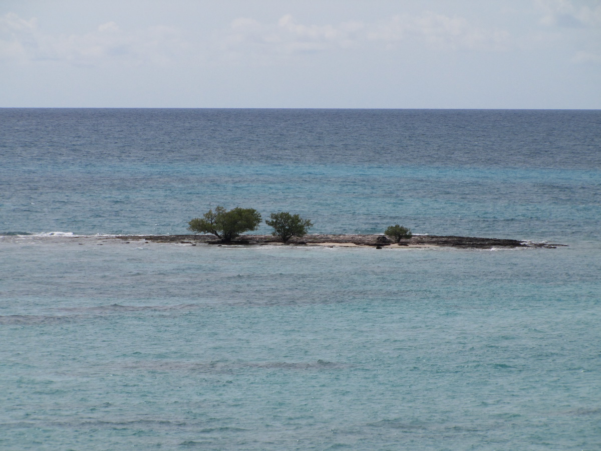 IMG_6286.JPG