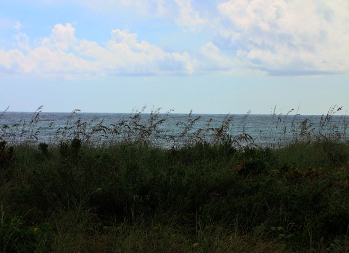 IMG_6364_3_2_tonemapped.jpg