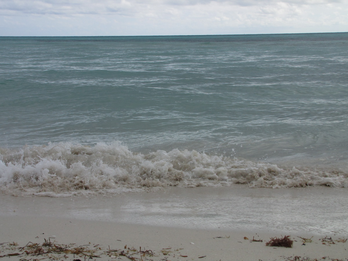 IMG_6399.JPG