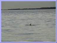 IMG_7984.JPG
