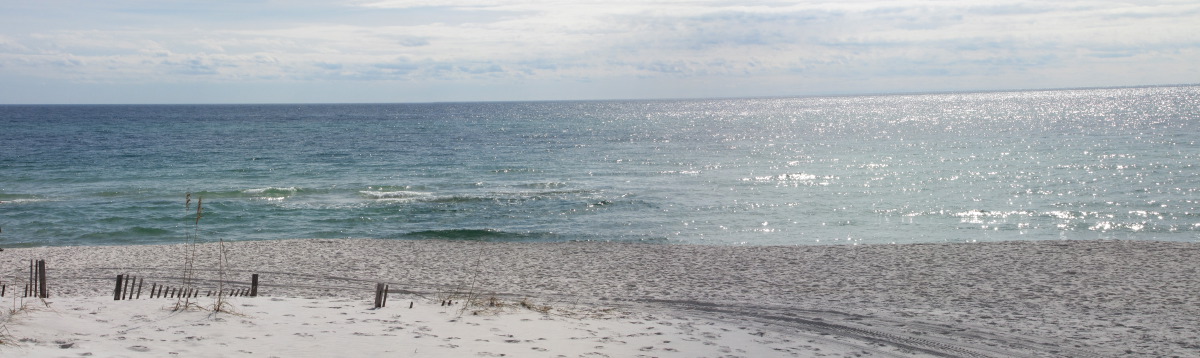 GINS-FtPickensBeach2.jpg