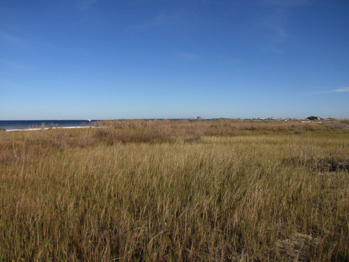 IMG_4123.JPG
