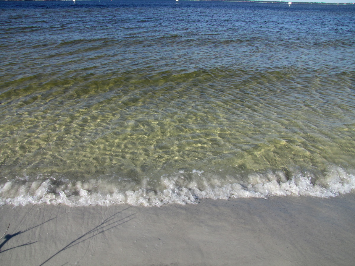 IMG_4128.JPG