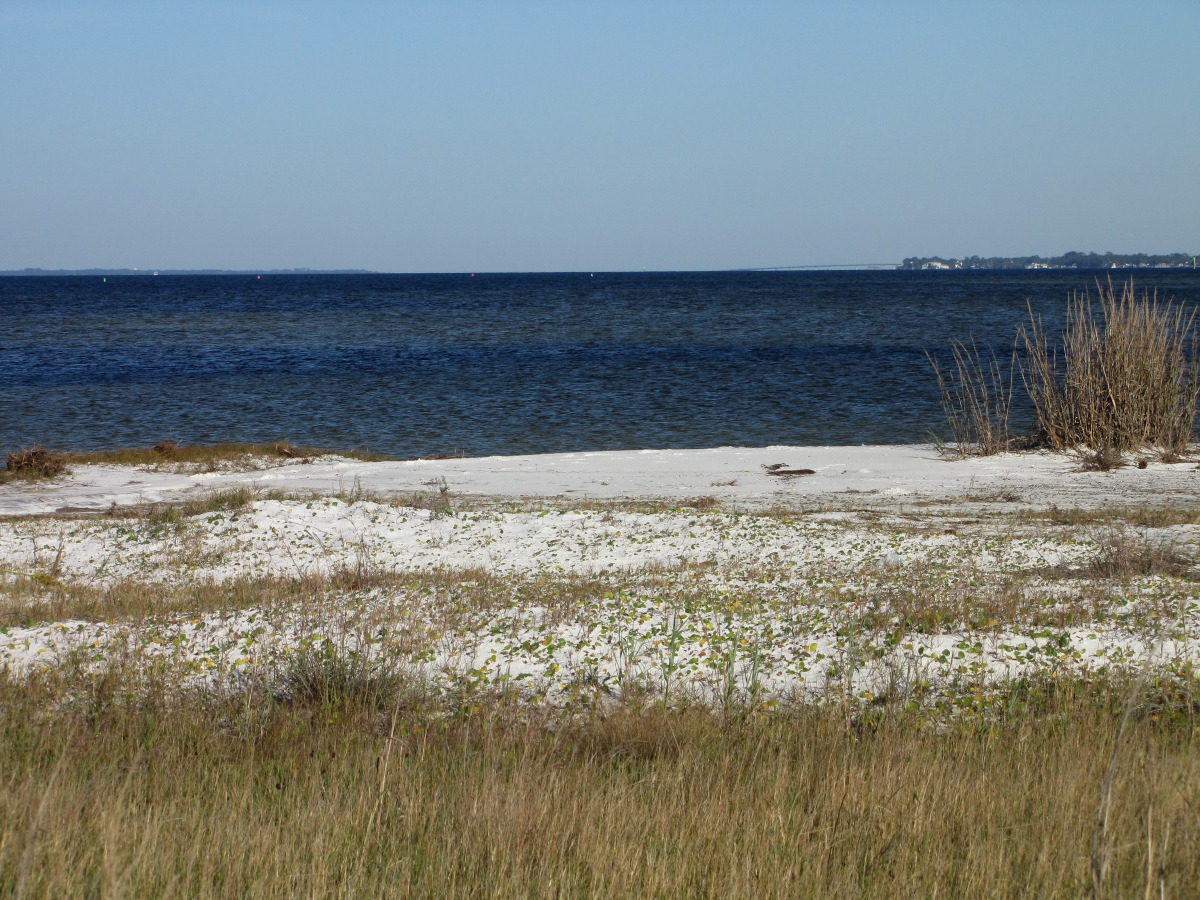 IMG_4140.JPG