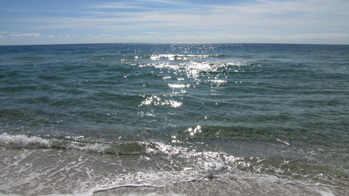 IMG_7715.JPG