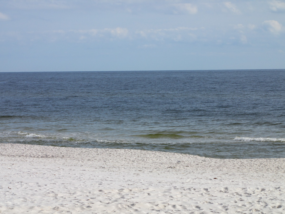 IMG_7829.JPG