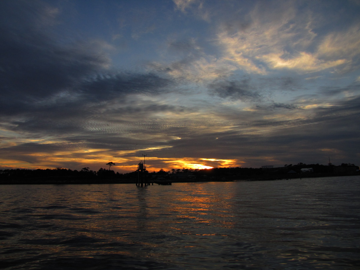 IMG_8030.JPG