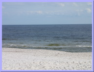 IMG_7829.JPG