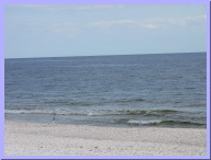 IMG_7832.JPG