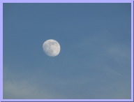 IMG_7990.JPG