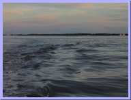 IMG_8004.JPG
