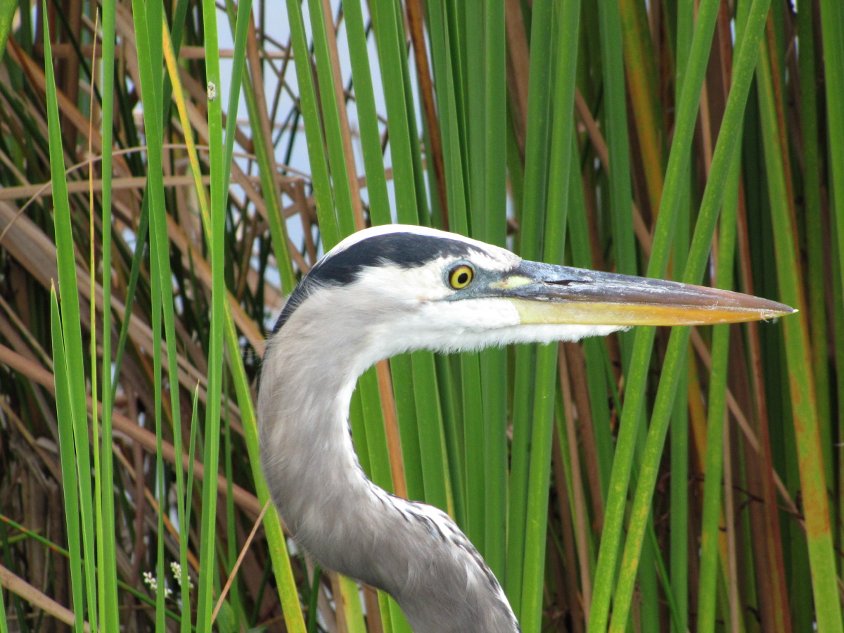 IMG_5471.JPG