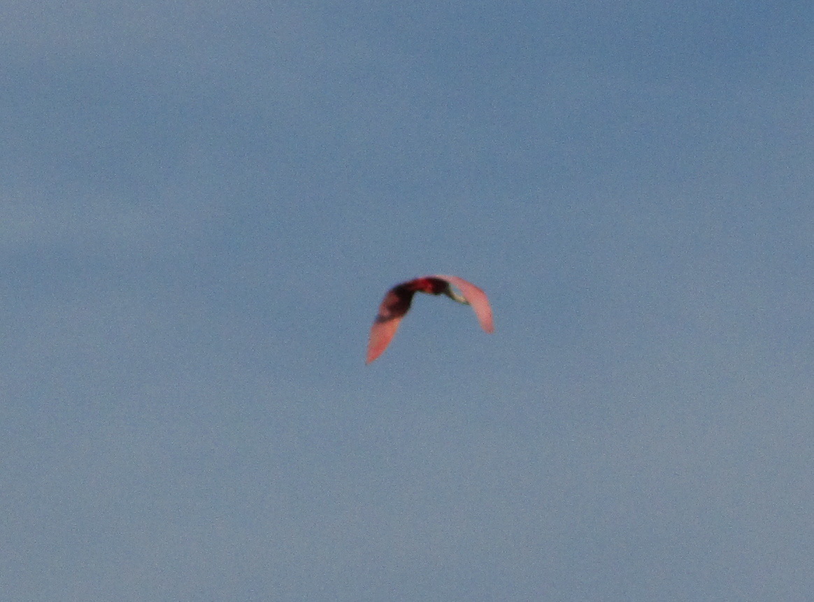 IMG_5693.JPG