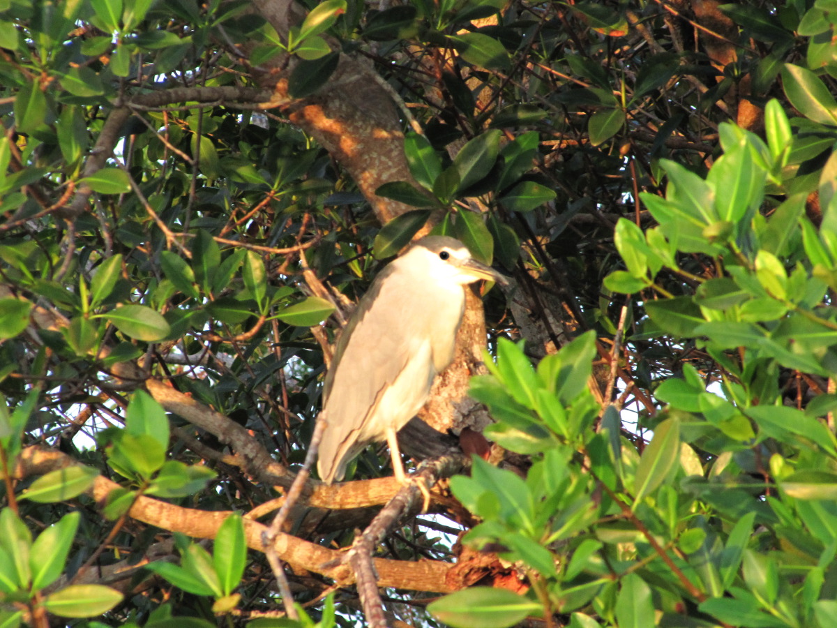 IMG_5724.JPG