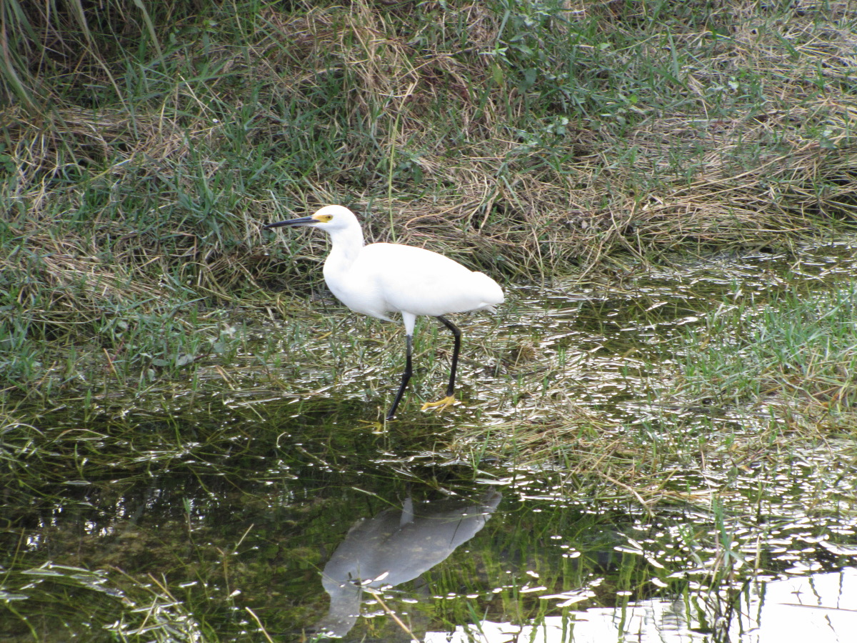 IMG_6636.JPG